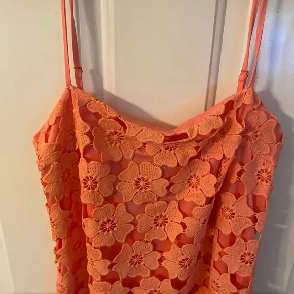 Petal & Pup Pink Floral Mini Dress - Picture 5 of 13